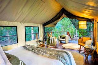 Lilac River Camp - Talek - 2