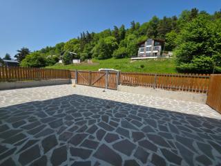 Villa Bayern in Bakuriani - 6