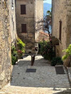 le minicoulier - Carros - 9