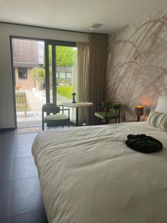Q Studio Green - Herzele - 5