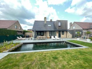 Q Studio Green - Herzele - 2