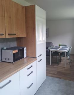 Apartmán Nerudova - Teplice nad Metují - 1