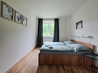 Apartmán Nerudova - Teplice nad Metují - 6