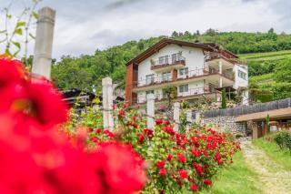 Haus Karin 2 - Brixen - 9