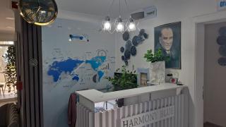 HARMONY BLue - Pelitkoy - 9