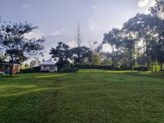 Kakamega Forest Glamping Cabin - Kakamega - 4