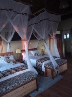 Queen Elizabeth National Park Hotel, By Sana Sana holiday Apartments - Nalakonge - 4