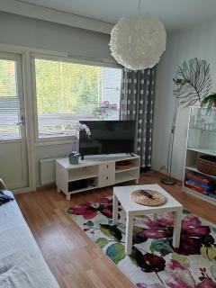 Kotoisa kaksio Kuopion Saarijärvellä - Kuopio - 8