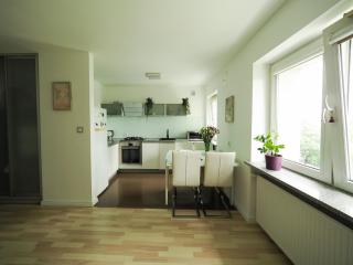 National Stadium Suite Warsaw - Warschau - 9
