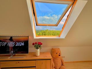 Panorama Studio im Schwarzwald - Sankt Märgen - 2