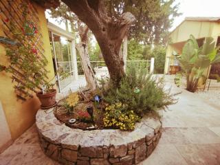 Maison de Charme en couleurs - Cuers - 1