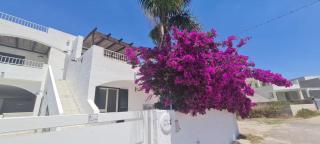Il Rosmarino Casa Vacanze - Taviano - 0