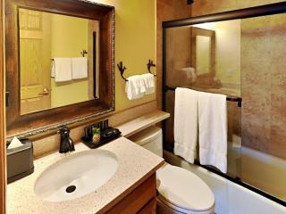 Timberline Condominiums 2 Bedroom Deluxe Unit A1D - Snowmass Village - 1
