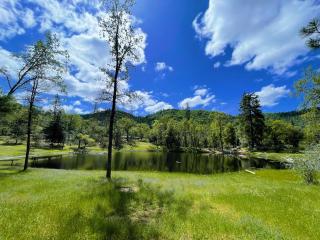 Log Cabin w/ pool, spa, game room, sleeps 20 - Coarsegold - 6