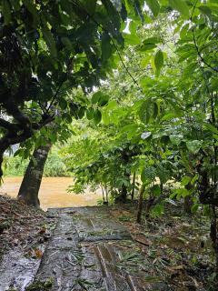 Bamboo house - Vayittiri - 5