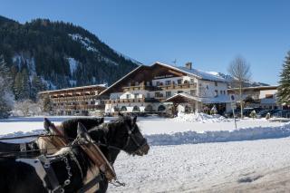 Gasthof Restaurant Pizzeria Enzian - Sommerbergbahnen inklusive - 6