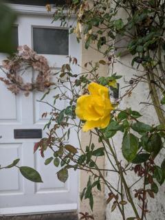 Forge End Cottage Middleham - Middleham - 6