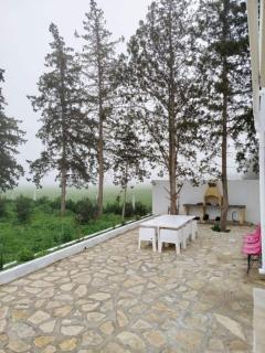 Villa ALFAS - Bab Khadra - 3