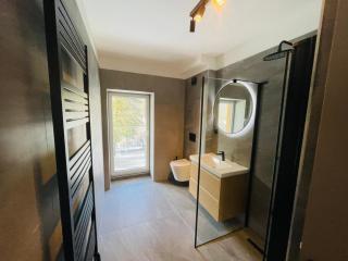 Apartmán Pstruží, Krušné hory - Merklín - 3