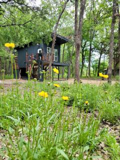 UpCountree Cabins Romantic Treehouse & Luxury Glamping - Point - 1