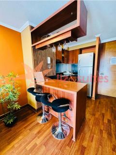Beautiful with a terrace in Providencia - Santiago - 5