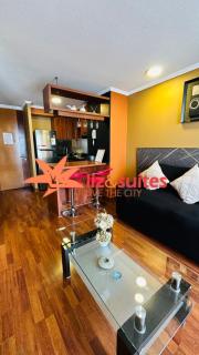 Beautiful with a terrace in Providencia - Santiago - 1