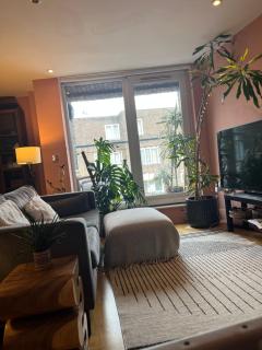 2 Bed, 2 Bath flat in Central London, Hosted by Laura Fellows - Londra - 9