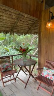 Jardín Botánico del Pacífico y Mecana Ecohotel - Bahía Solano - 4