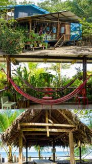 Jardín Botánico del Pacífico y Mecana Ecohotel - Bahía Solano - 7