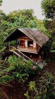 Jardín Botánico del Pacífico y Mecana Ecohotel - Bahía Solano - 9