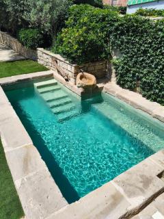 La Festa del Sentits, Casa Rural - 8