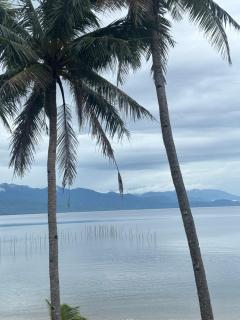Lui my happy place - Pandan - 7