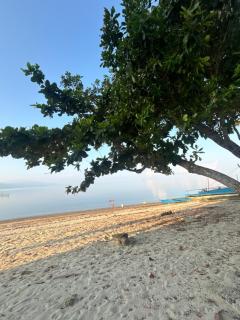 Lui my happy place - Pandan - 3