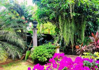 Sandakada Homestay - Anuradhapura - 6