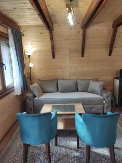 Holiday chalet Asterix - Žabljak - 4