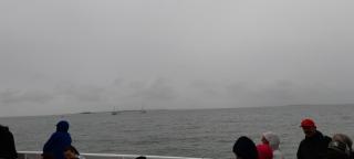 La rochelle PORT DES MINIMES - 9