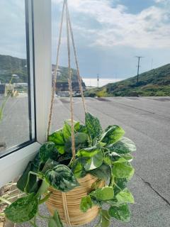 Lovely two bed flat with a sea view next to beach - Porthtowan - 2