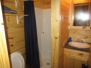 All Tucked Inn Cabins 2 - Nixon - 6