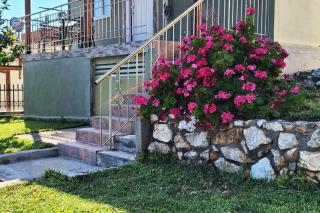Lemon tree House - Skala Marion - 5