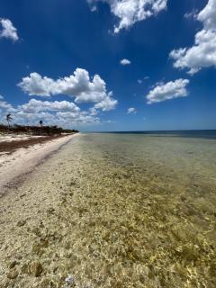 Casa Arsha Beachfront Bed & Breakfast - 2