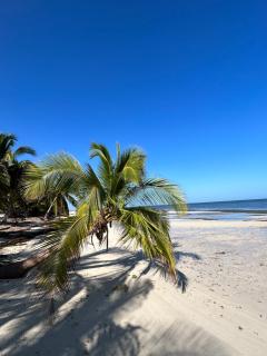 Casa Arsha Beachfront Bed & Breakfast - Dzidzantún - 9