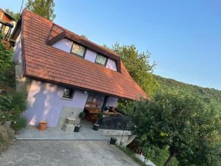Villa Sandra - Rude - 8