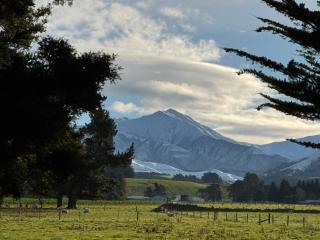 Bellbird Hideaway - 5