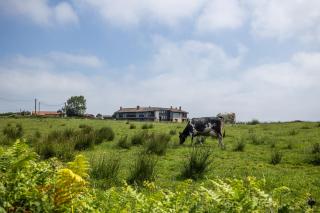 Asturian Villa with Garden, Parking and Sea Views - Villaviciosa - 7