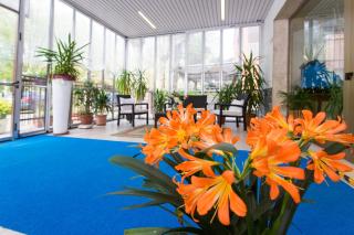 Hotel Majorca - Cesenatico - 7