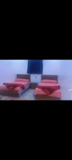 شقه فندقيه بالغردقه شارع الباشا - Hurghada - 8