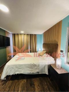 Fully equipped in Providencia - Santiago - 1