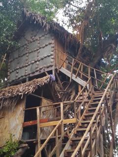 Tree Home Adventure - Isaka - 0