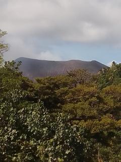 Tree Home Adventure - Isaka - 6