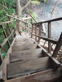 Tree Home Adventure - Isaka - 5